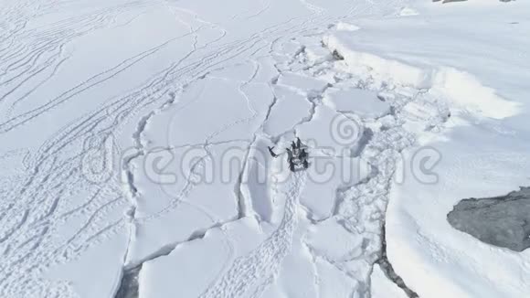 北极企鹅在冰裂空中跳跃视频的预览图