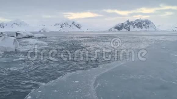 企鹅群游南极海冰视频的预览图