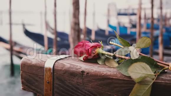 特写拍摄美丽的单红玫瑰躺在威尼斯木渠码头背景是传统的贡多拉斯视频的预览图