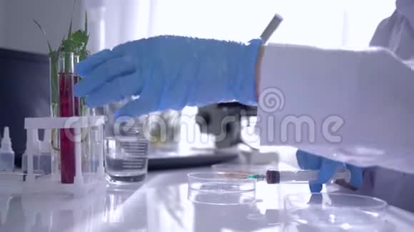 实验室专业人员在无菌条件下将化学品注入试管将植物放在室内的桌子上视频的预览图
