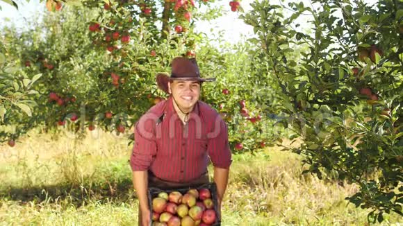 有趣的农夫把苹果从盒子里扔了出来视频的预览图