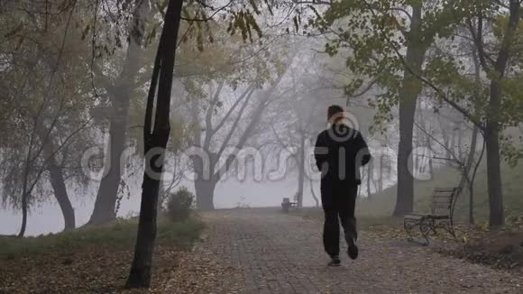 男人在雾蒙蒙的秋晨跑公园视频的预览图