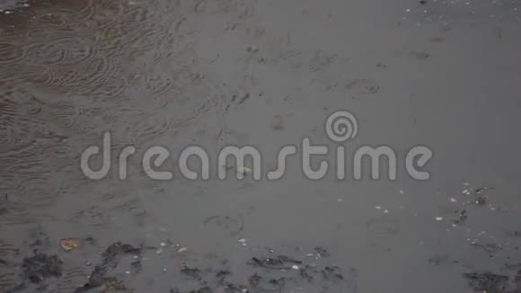 雨水落在泥泞的水坑上视频的预览图