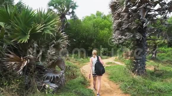 女孩游客带着背包沿着热带岛屿森林的小径行走手掌和大海视频的预览图