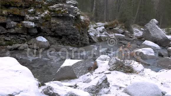 溪水在雪山沿岸流淌在阴天的秋日视频的预览图