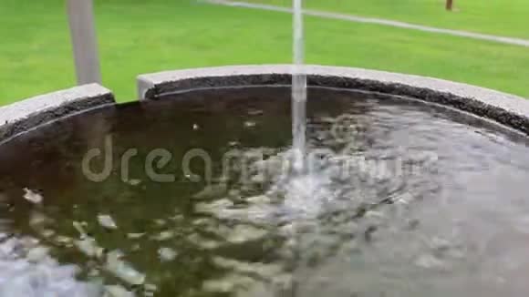 花园里的喷泉视频的预览图