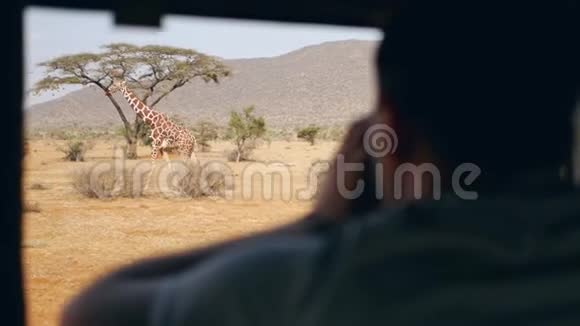 非洲狩猎的摄影师从车里给一只野长颈鹿拍照视频的预览图