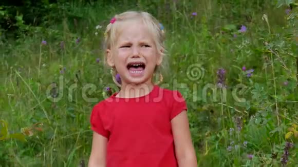 四岁的小女孩在高高的草地上哭泣视频的预览图