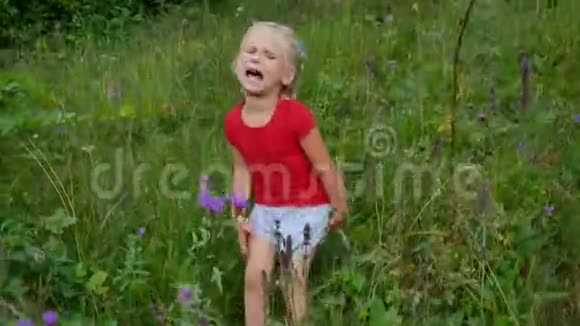 四岁的小女孩在高高的草地上哭泣视频的预览图