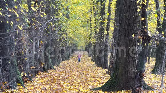 快乐的金发小孩子手里拿着一片黄色的叶子在秋天的大自然中奔跑视频的预览图