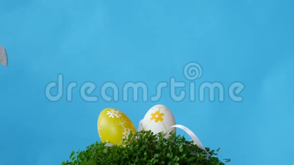 复活节兔子吃复活节彩蛋视频的预览图