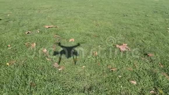 一个无人机的影子视频的预览图