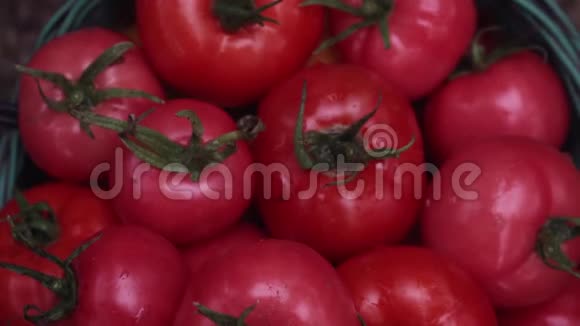 篮子里有许多红熟番茄有机蔬菜收获视频的预览图