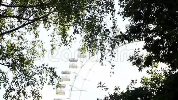 摩天轮通过树枝观景视频的预览图