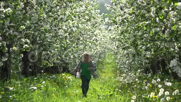 可爱的小男孩在大自然中奔向开满果园快乐欢乐匆忙视频的预览图