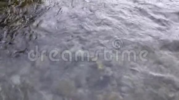 透明的水在一条山河里美丽而缓慢地流淌视频的预览图