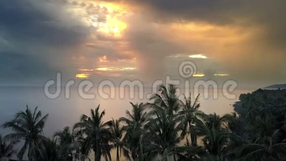 热带海洋上的日出空中飞人从无人机射击海岸有棕榈树阳光透过云层照耀视频的预览图