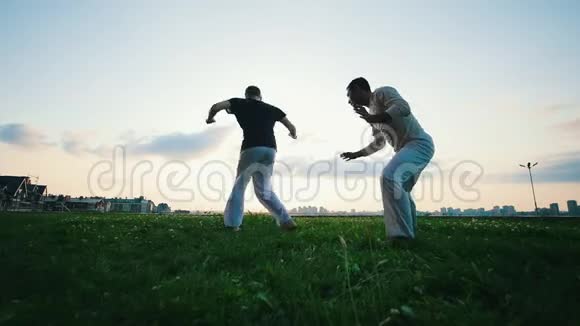 两个运动员在草地上展示卡波伊拉的武术视频的预览图