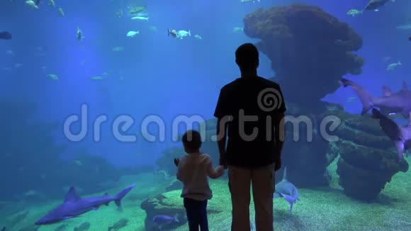父亲和热情的孩子手牵手在水族馆享受海底生活视频的预览图