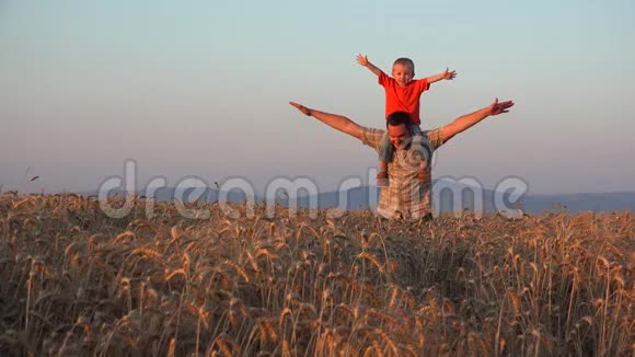 父亲和儿子的游戏父母在夕阳下骑在小麦栽培上视频的预览图
