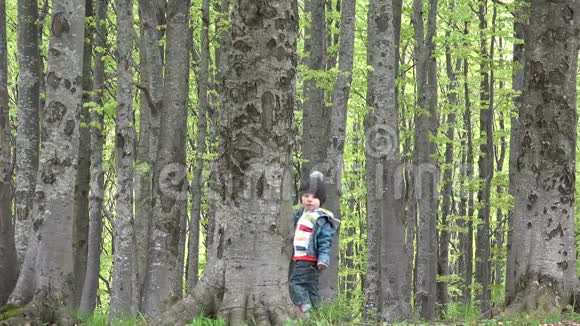可爱的男孩躲在树后在灿烂的大自然中玩耍视频的预览图