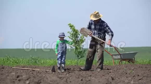 祖父和孙子一起种一棵树消除隔阂视频的预览图
