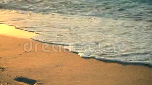 阳光普照的小路在海滨潮湿的沙滩上闪闪发光视频的预览图
