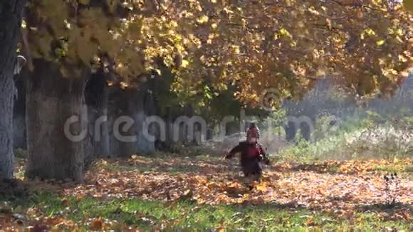 快乐的小孩在秋树上玩落叶视频的预览图