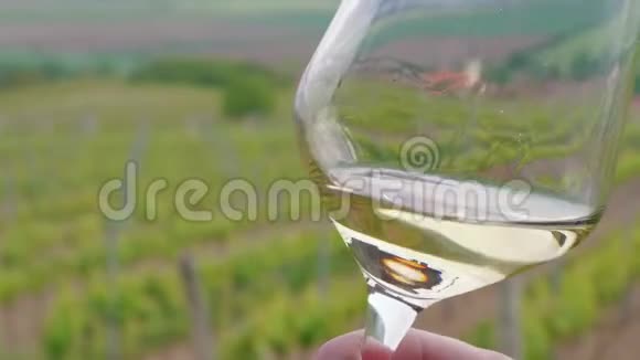 侍酒师在葡萄园里旋转品着酒杯中的白葡萄酒视频的预览图