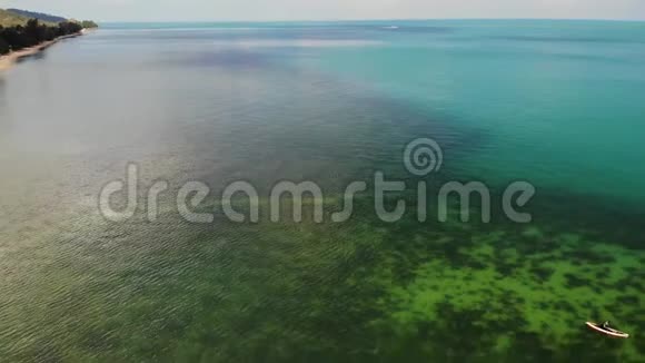 在蓝海附近的海滩上在度假胜地干净的蓝海的沙质海岸上生长的热带椰子棕榈的无人视野视频的预览图