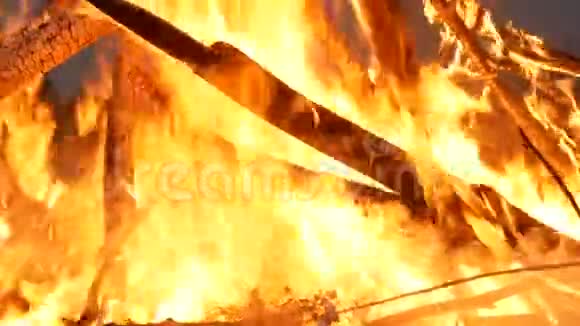 篝火晚会在火中的分支关闭在乌克兰庆祝民间节日库帕拉之夜视频的预览图