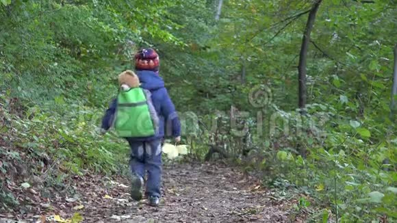 小男孩背着玩具熊背包在森林里远足男孩手里拿着一片秋叶视频的预览图