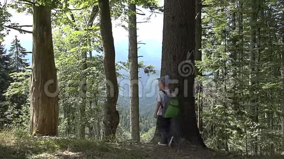 迷路的孩子背着背包站在一棵树上环顾四周徒步旅行视频的预览图