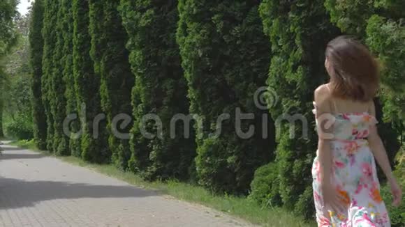 一个阳光明媚的夏日穿着礼服的女人奔跑着装饰柏树的小巷视频的预览图