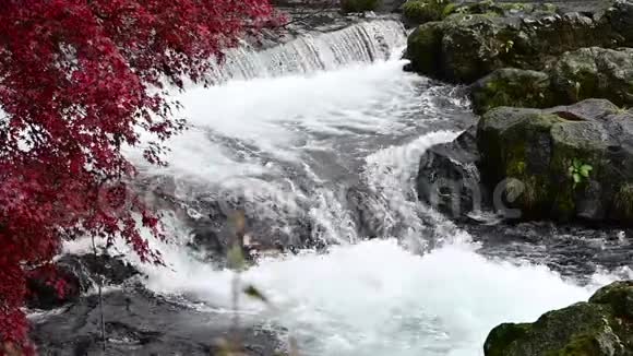 日本的天然瀑布视频的预览图