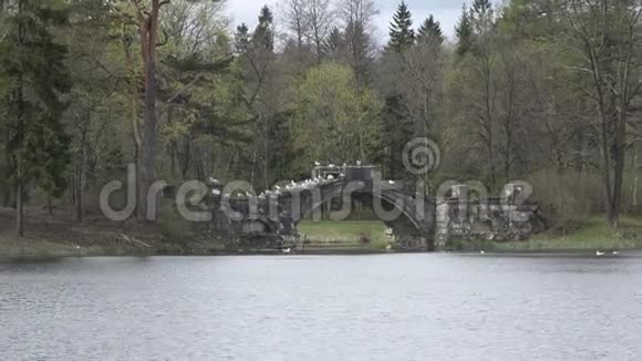 古石上的海鸥被毁于湖上的桥即俄罗斯公园视频的预览图