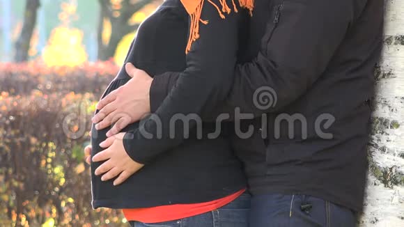 男人和孕妇在秋天的大自然中抚摸女人的腹部视频的预览图