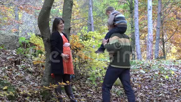 父亲骑着小猪去看望儿子在秋天公园亲吻怀孕的母亲的肚子视频的预览图