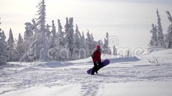 在寒假的时候一个带着沉重的滑雪板到山顶的活泼的年轻女人慢动作3840x21604k视频的预览图