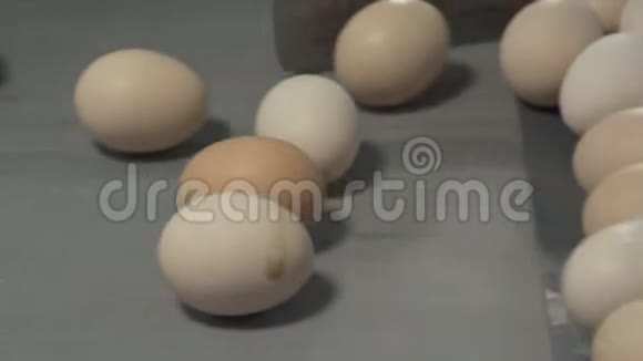 鲜蛋分级分拣机工厂鸡蛋生产视频的预览图