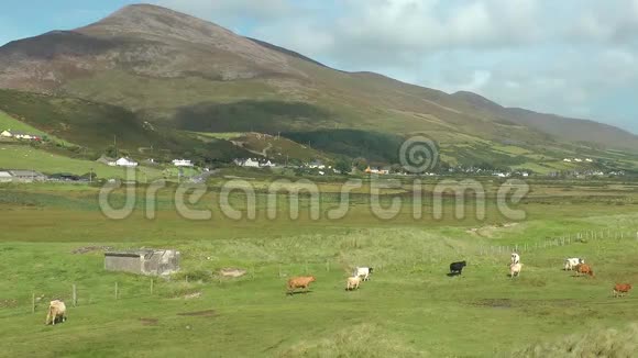 爱尔兰风景视频的预览图