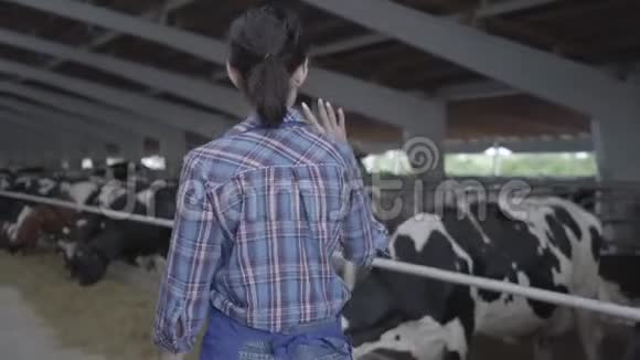 年轻的女农民带着奶牛参观谷仓视频的预览图