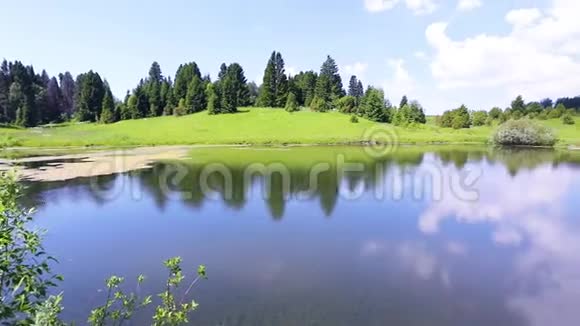 美丽的夏季景观与湖泊和森林相机在一个圆圈里移动视频的预览图