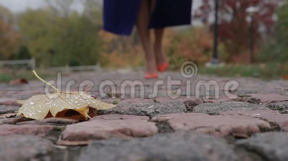 秋天穿高跟鞋的女人在街上散步视频的预览图