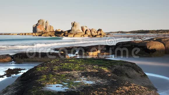 澳大利亚塔斯马尼亚野餐岩石上的海藻覆盖着岩石视频的预览图