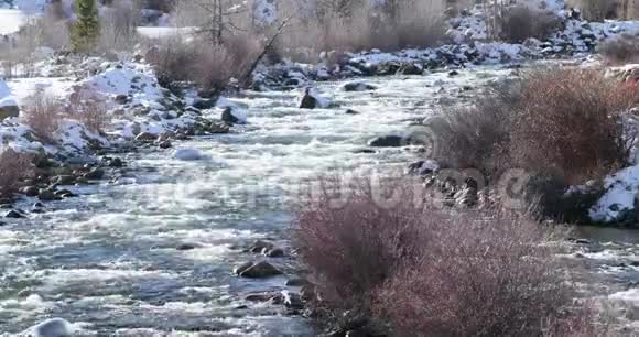 科罗拉多湖溪小水急流视频的预览图