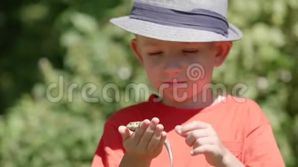 快乐的小男孩手里拿着一只蜥蜴的肖像爱动物视频的预览图
