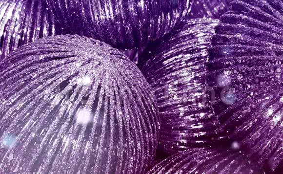 紫色的树球视频的预览图