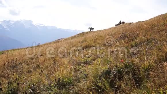 带着马的人走在山路上视频的预览图