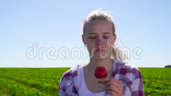 在田里吃红草莓的小女孩视频的预览图